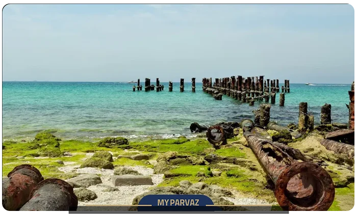 خدمات تور کیش
